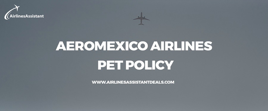 aeromexico pet travel policy