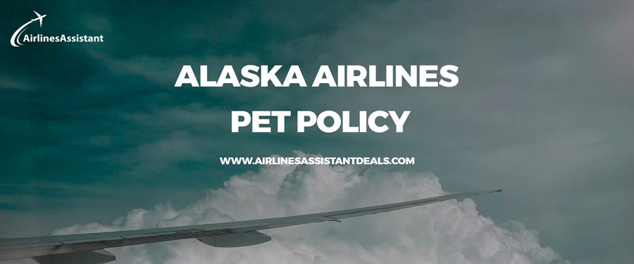 alaska airlines pet travel policy