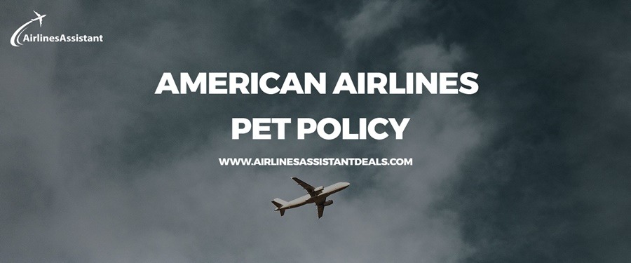 american airlines pet travel policy