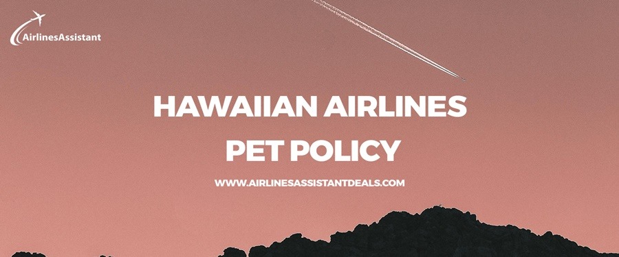 hawaiian airlines pet travel policy