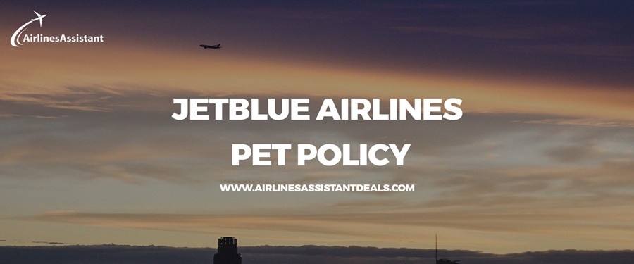 jetblue airlines pet travel policy