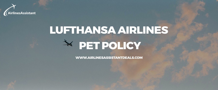 lufthansa airlines pet travel policy