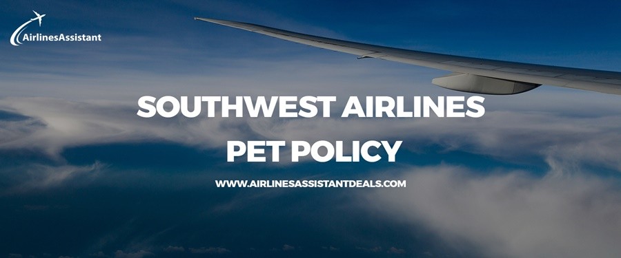 southwest airlines pet travel policy