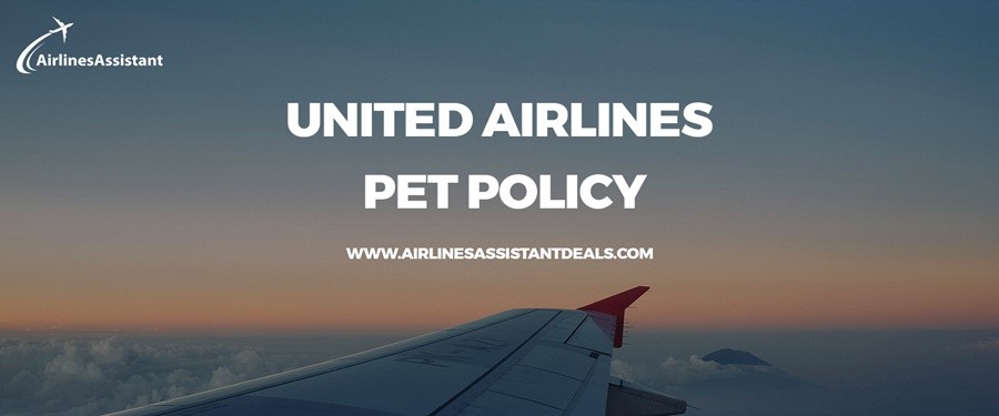 united airlines pet travel policy